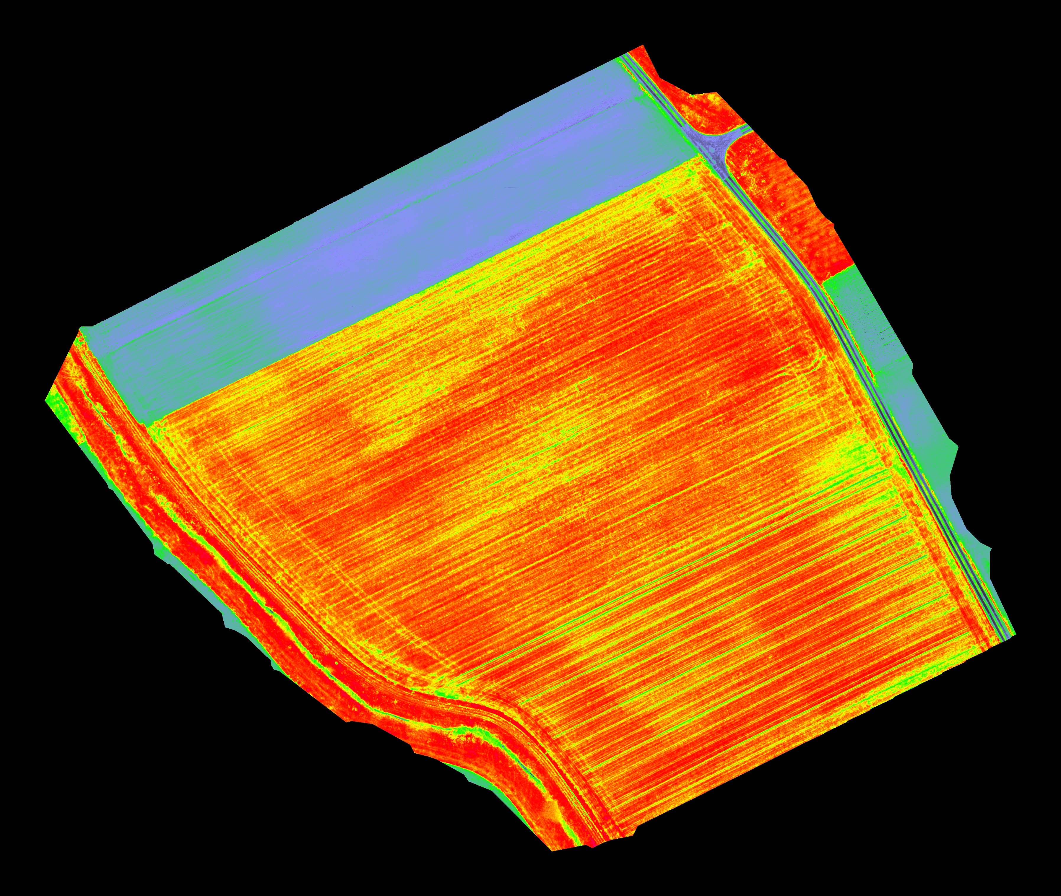 Beispiel einer multispektralen NDVI-Auswertung eines Maisfelds